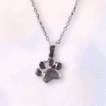 Collar de Huella de Perro en Acero Inoxidable - Elegancia y Amor por las Mascotas