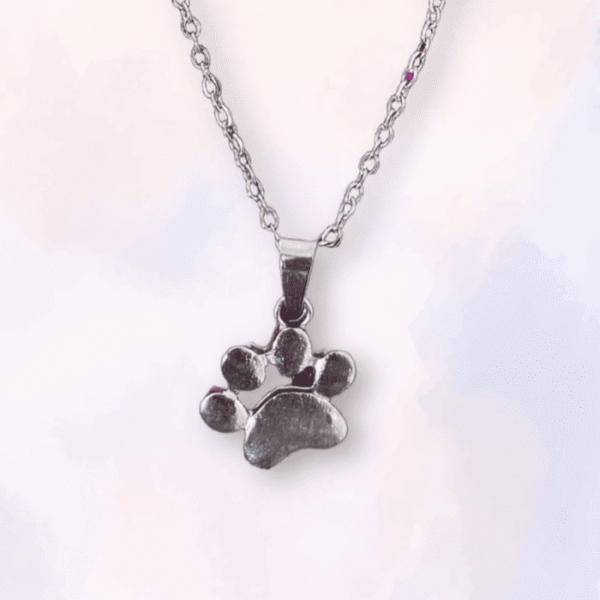 Collar de Huella de Perro en Acero Inoxidable - Elegancia y Amor por las Mascotas